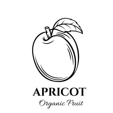 El çizimi kayısı ikonu. Broşürler, afişler, restoran menüsü ve pazar için eski mürekkep tarzında vektör rozet meyvesi