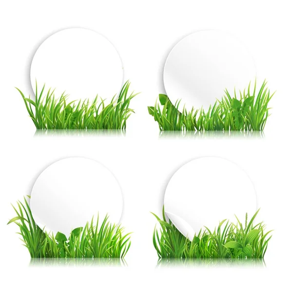 Bannières Herbe Réalistes Vertes Prairie Printemps Avec Des Plantes Disposition — Image vectorielle