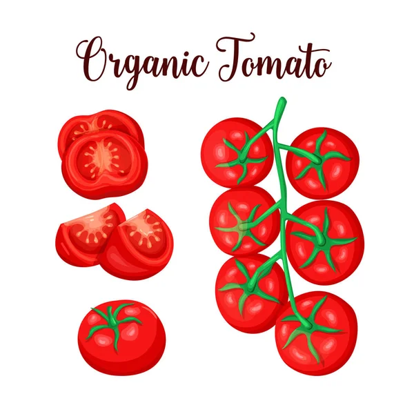Tomat Vektor Siap Sayuran Pertanian Merah Diisolasi Dalam Gaya Kartun - Stok Vektor
