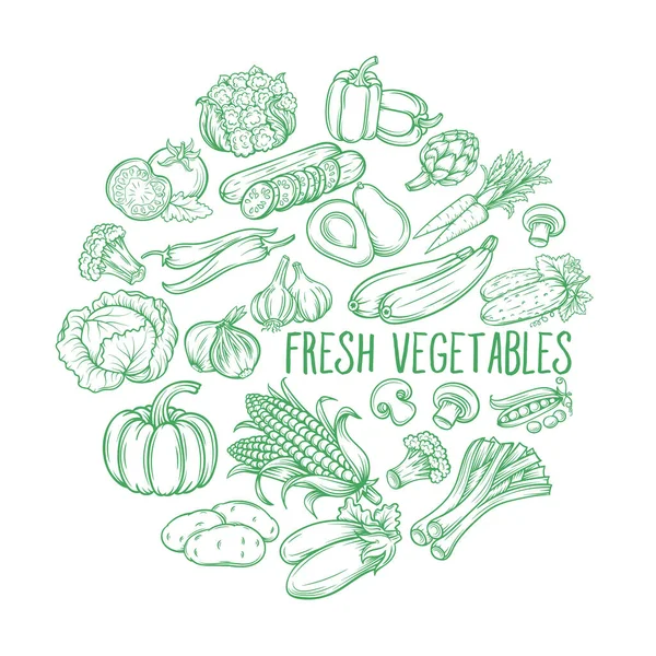 Establecer Mano Dibujar Verduras Verduras Vectoriales Viejo Estilo Tinta Hortalizas — Vector de stock