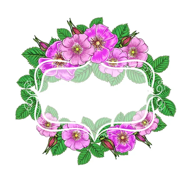 花の水平手のフレームを描いた 野生のバラのピンクの花 花で飾られたフレームのベクトルイラスト — ストックベクタ