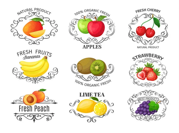 Etiketten Met Fruit Zetten Vintage Design Fuits Voor Brochures Banner — Stockvector