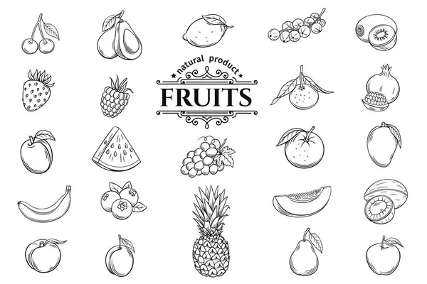 Vector Hand Drawn Fruits Icons Set Decorative Retro Style Collection — Stock Vector