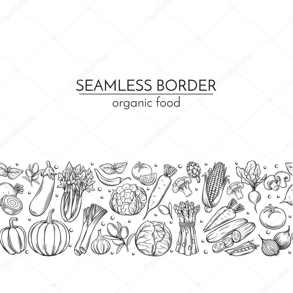 Seamless borders with hand drawn vegetables for farmers market menu design. Vector vintage illustration.