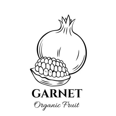 Elle çizilmiş yakut ikonu. Broşürler, afişler, restoran menüsü ve pazar için eski mürekkep tarzında vektör rozet meyvesi