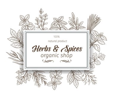 Bitkiler ve baharatlar.