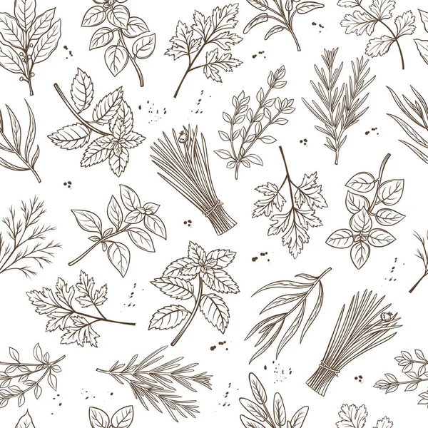 Herbes de motif sans couture — Image vectorielle