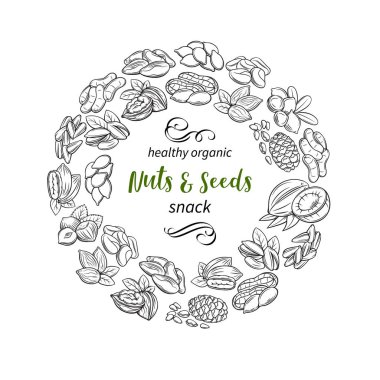 El yapımı fındık ve çekirdekli bir poster. Kola fındığı, kabak tohumu, fıstık ve ayçiçeği çekirdeği. Fıstık, kaju, hindistan cevizi, fındık ve macadamia. Eskiz retro tarzında vektör illüstrasyonu.