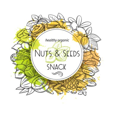 El yapımı fındık ve çekirdekli bir poster. Kola fındığı, kabak tohumu, fıstık ve ayçiçeği çekirdeği. Fıstık, kaju, hindistan cevizi, fındık ve macadamia. Eskiz retro tarzında vektör illüstrasyonu.