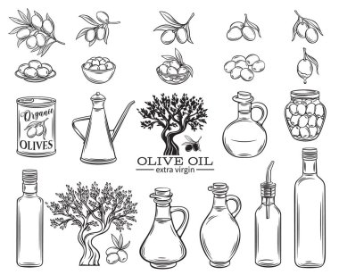 El yapımı zeytin, ağaç dalları, cam şişe, sürahi, metal şeker ve zeytinyağı koyun. Eskiz tarzında tasvir çizimi.