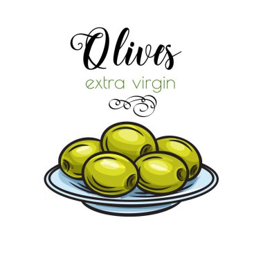 Tabak kartına broşürler, afişler, restoran menüleri ve market için eski mürekkep çizim tarzıyla zeytin çizen vektör el.