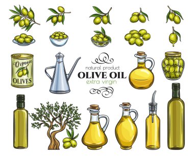 El yapımı zeytin, ağaç dalları, cam şişe, sürahi, metal şeker ve zeytinyağı koyun. Eskiz tarzında tasvir çizimi.