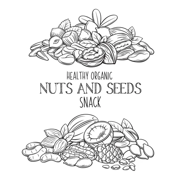 Banner Mit Handgezeichneten Nüssen Und Samen Cola Kürbiskerne Erdnüsse Und — Stockvektor