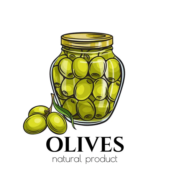 Konzervované Olivy Sklenici Ilustrace Obrys Potravinářský Výrobek Retro Náčrtek Stylu — Stockový vektor