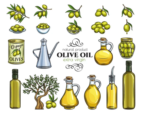 Set Vector Dibujado Mano Aceitunas Ramas Árbol Botella Vidrio Jarra — Archivo Imágenes Vectoriales