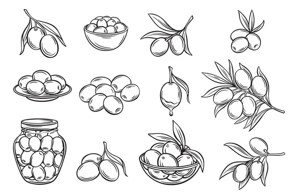 Встановіть Векторні Мариновані Оливки Гілки Дерев Дизайну Продуктів Харчування Оливкової — стоковий вектор