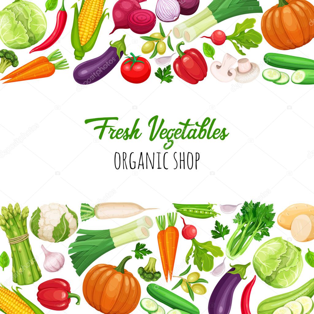 Poster template page design with vegetables. Farm product for restaurant menu design, market label. Vector illustration.