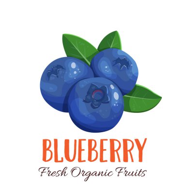 Vector yabanmersini. Çiftlik pazarı menüsü için meyve illüstrasyonu. Sağlıklı gıda tasarımı