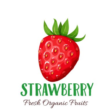 Vektör çilek. Çiftlik pazarı menüsü için meyve illüstrasyonu. Sağlıklı gıda tasarımı