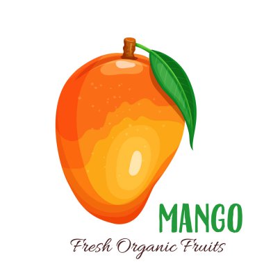 Vektör mango. Çiftlik pazarı menüsü için meyve illüstrasyonu. Sağlıklı gıda tasarımı