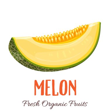 Vektör dilimi kavun. Çiftlik pazarı menüsü için meyve illüstrasyonu. Sağlıklı gıda tasarımı