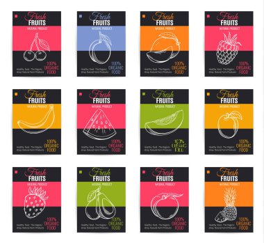 Vektör el meyve posterleri çizdi. Çiftçilerin pazar menüsü tasarımı için klasik tarz sağlıklı gıda kavramı