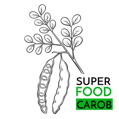 El çizimi vektör süper yemek keçiboynuzu. Eskici tarzında çizim. Şablon Sağlıklı Yemek Tasarımı.