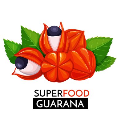 Guarana vektör simgesi. Tasarım pazarı süper gıdaları için sağlıklı bir detoks. .