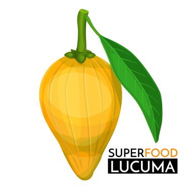 Lucuma vektör simgesi. Tasarım pazarı süper gıdaları için sağlıklı bir detoks. .