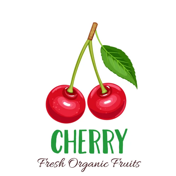 Ciliegia Vettore Illustrazione Bacche Frutta Menu Mercato Agricolo Design Sano — Vettoriale Stock
