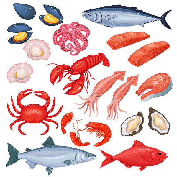 Vector icons of mussel, fish salmon, shrimp. Lobster, squid, octopus, scallop, lobster, craps, mollusk, oyster, alfonsino and tuna. Seafood in cartoon style.