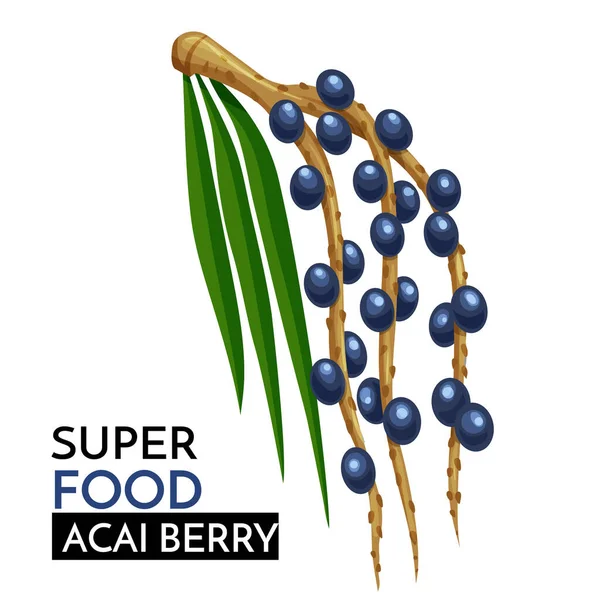 Acai Berry Vector Icono Desintoxicación Saludable Producto Natural Superalimento Ilustración — Vector de stock