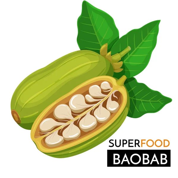 Baobab Vektor Ikon Friska Detox Naturliga Produkt Superfood Illustration För — Stock vektor