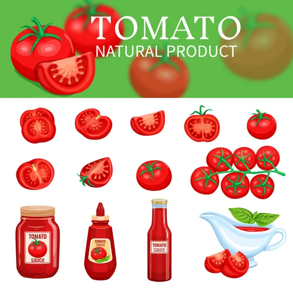 Set of tomatoes and sauces — Stock Vector