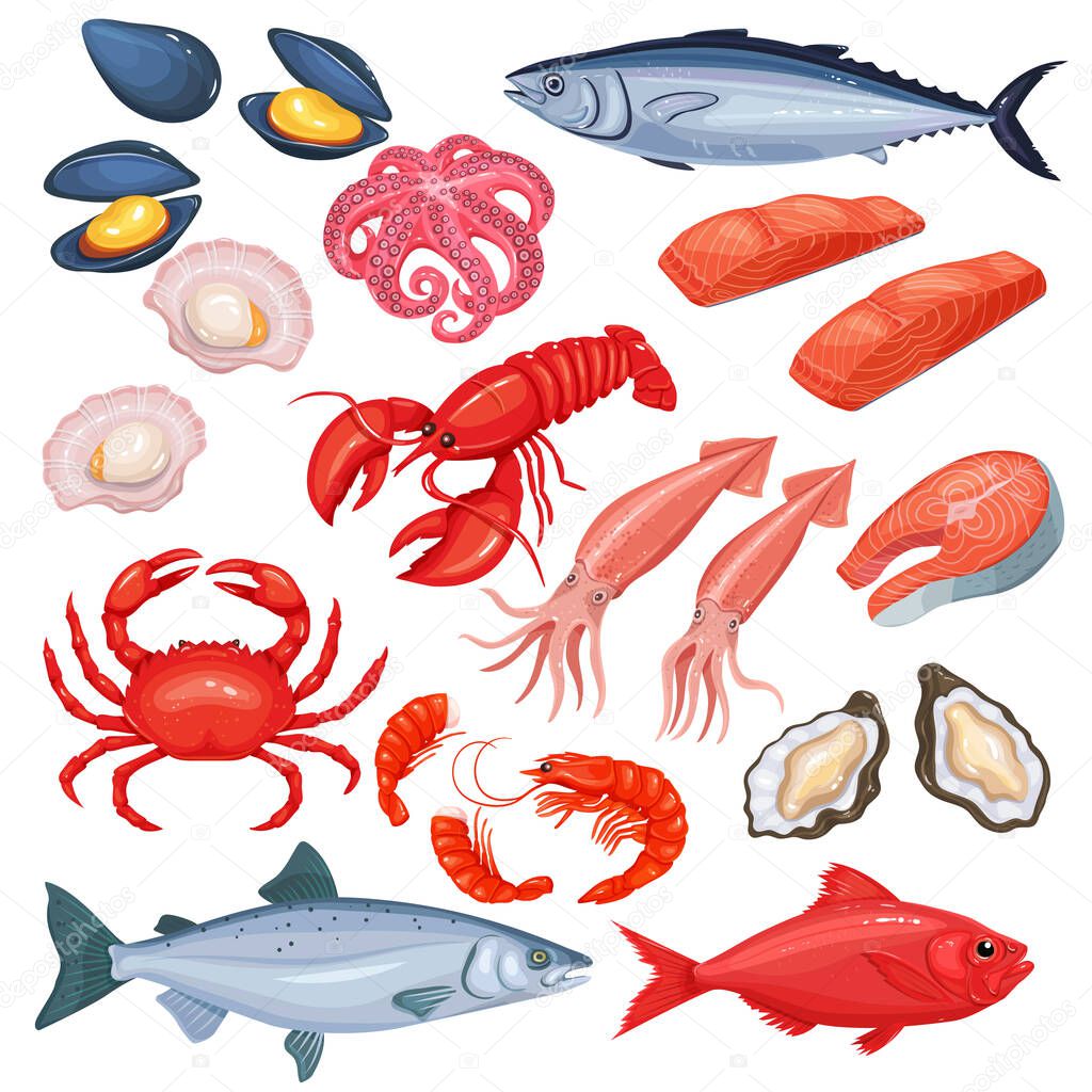 Vector icons of mussel, fish salmon, shrimp. Lobster, squid, octopus, scallop, lobster, craps, mollusk, oyster, alfonsino and tuna. Seafood in cartoon style.