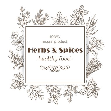Bitkiler ve baharatlar. Pankart şablonu, çiftçilerin pazar menüsü tasarımı için el çizimi bitkiler. Vektör illüstrasyon sayfası dekorasyonu mürekkep retro tarzında aşçılık otları.