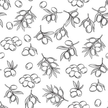 Vektör el zeytin ve ağaç dalları ile dikişsiz desen çizdi gıda ürünleri ve zeytin yağı etiketi için. Retro biçiminde resim.