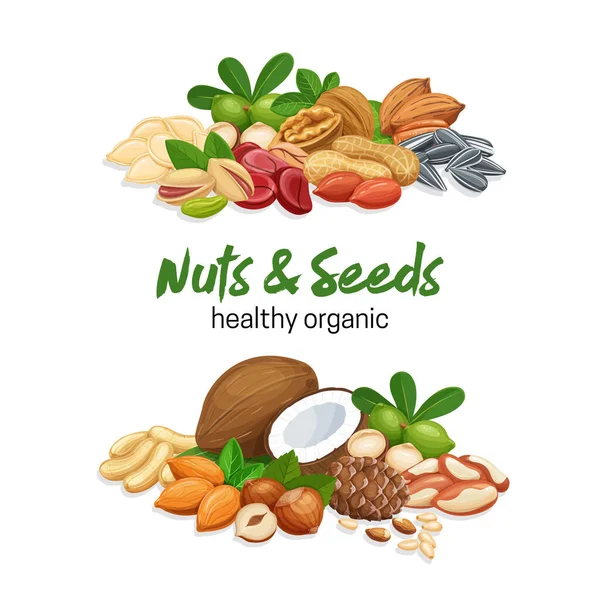 Sjabloon met noten en zaden — Stockvector