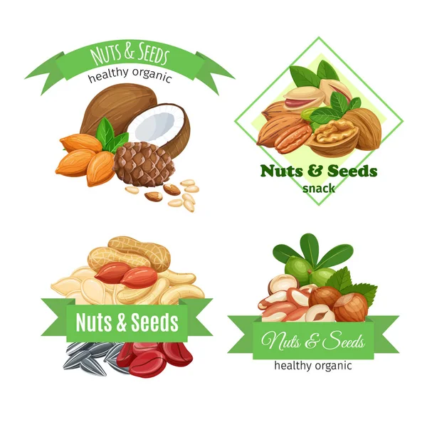 Vorlage mit Nüssen und Samen — Stockvektor