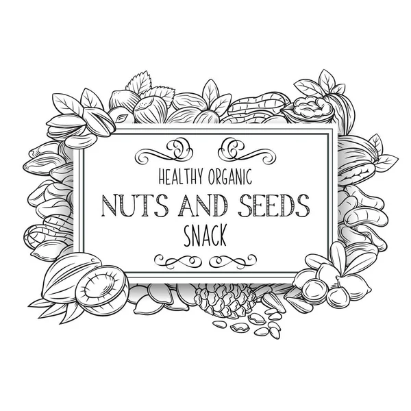 Plantilla Banner Con Nueces Semillas Dibujadas Mano Nuez Cola Semilla — Archivo Imágenes Vectoriales