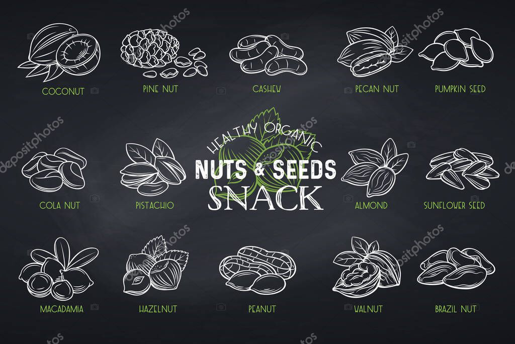 Set vector icons hand drawn nuts and seeds. Cola nut, pumpkin seed, peanut and sunflower seeds. Pistachio, cashew, coconut, hazelnut and macadamia. Illustration in chalkboard sketch style.