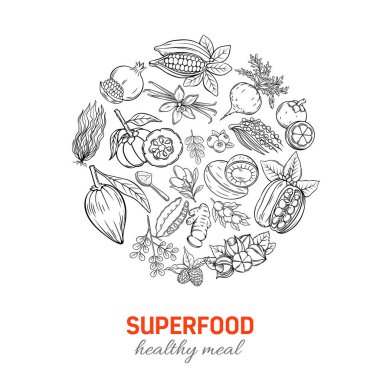 Vektör el çizimi süper yemek posteri. Kamuflaj, garcinia cambogia ve maca 'nın sağlıklı detoks doğal ürünü. Keçiboynuzu, zencefil, moringa, lucuma, coji üzümü, mangosteen, acai, guarana ve noni.