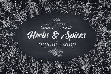 Çiftçilerin pazar menüsü tasarımı için el çizimi otlar ve baharatlar içeren poster çerçevesi şablonu. Karatahta biçiminde vektör illüstrasyon sayfası dekorasyonu aşçılık otları