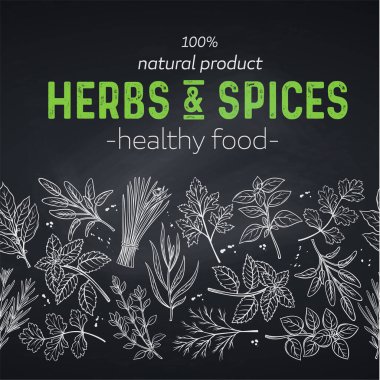 Çiftçi pazar menüsü tasarımı için el çizimi otlar ve baharatlarla kusursuz bir sınır şablonu. Karatahta biçiminde vektör illüstrasyon sayfası dekorasyonu aşçılık otları