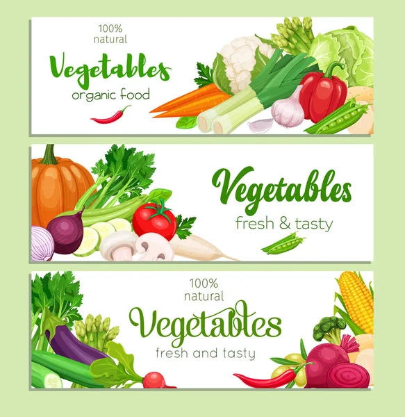 Banners Design Com Vegetais Vetoriais Conceber Comida Saudável Repolho Pimenta — Vetor de Stock