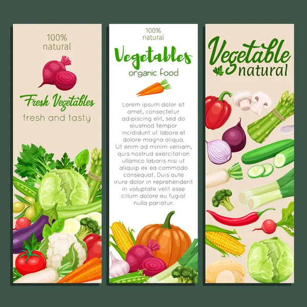 Banner Ontwerp Met Vector Groenten Concept Gezond Voedsel Kool Peper — Stockvector