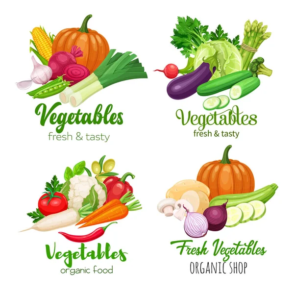 Υγιή Πανό Τροφίμων Vector Λαχανικά Λάχανο Πιπέρι Παντζάρια Καρότα Κρεμμύδι — Διανυσματικό Αρχείο
