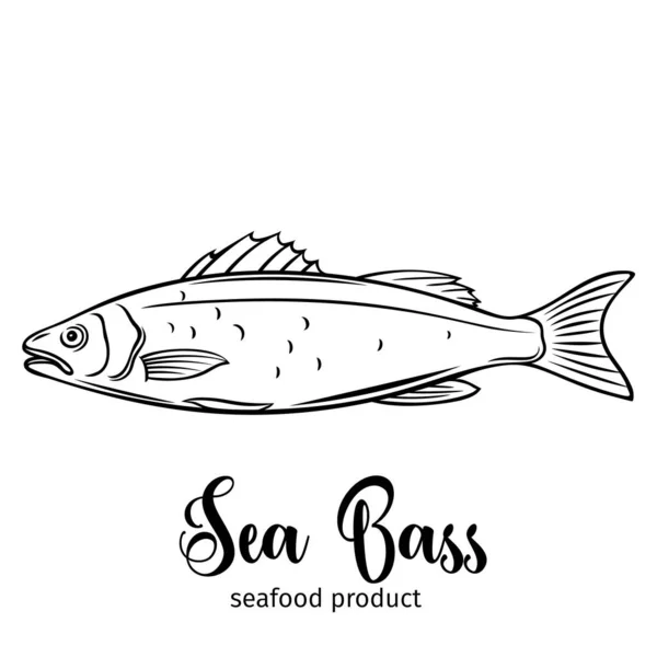 Vector Sea Bass Emblema Ícone Desenhado Mão Peixe Para Embalagem — Vetor de Stock