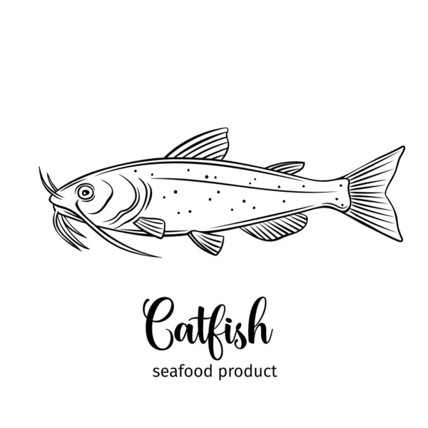 病媒性鲶鱼 手绘图标标志鱼设计海鲜包装及市场 — 图库矢量图片