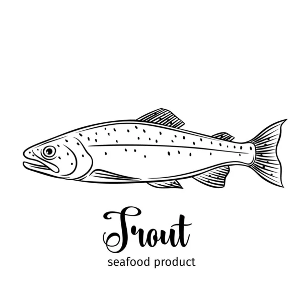 矢量鳟鱼 手绘图标标志鱼设计海鲜包装及市场 — 图库矢量图片
